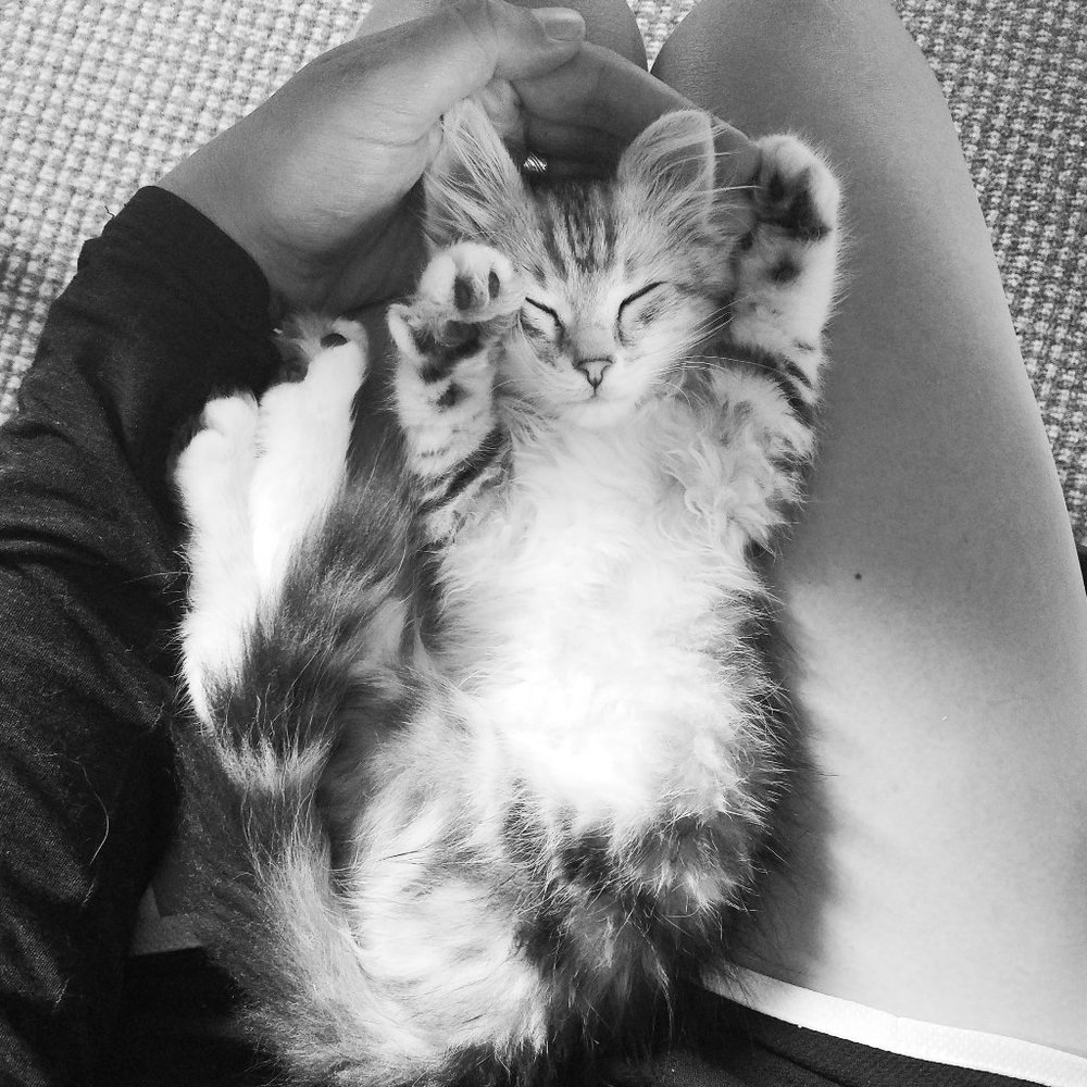 Meet your Posher, Emma